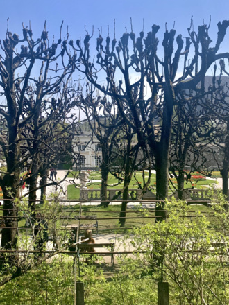 Westliches Boskett im Mirabell Garten