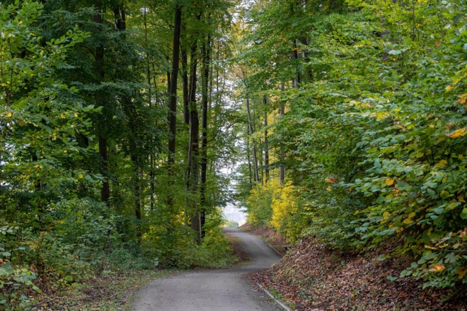 Wanderweg oberhalb des Flugplatzes | Bad Kissingen