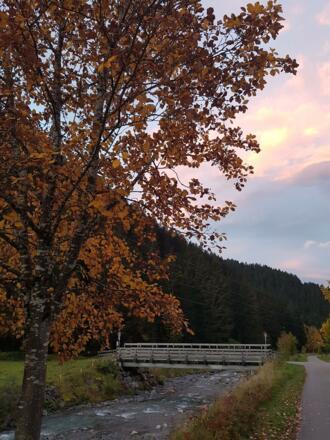 Herbst in Klösterle