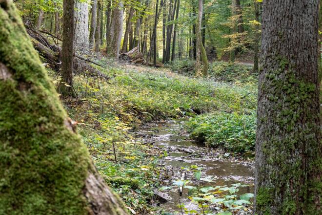 Kaskadentalbach | Bad Kissingen
