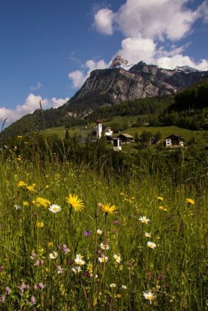 Dalaas im Sommer