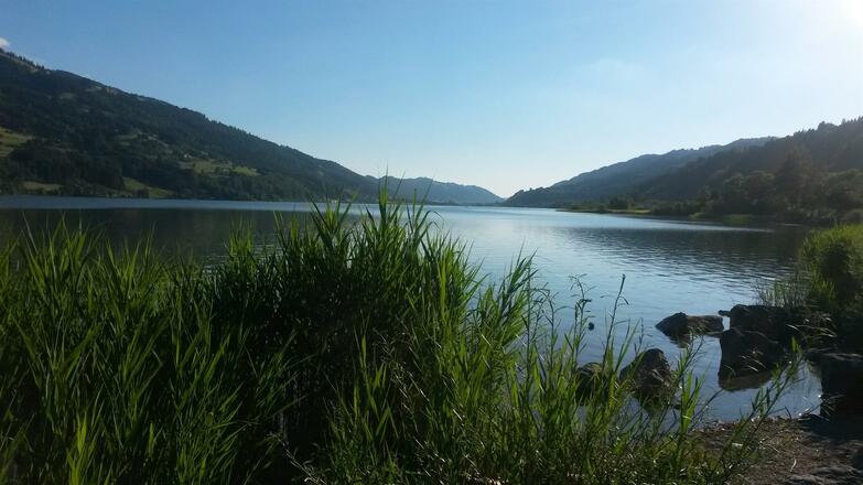 Blick auf den Alpsee
