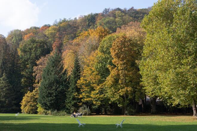Rast im herbstlichen Luitpoldpark | Bad Kissingen