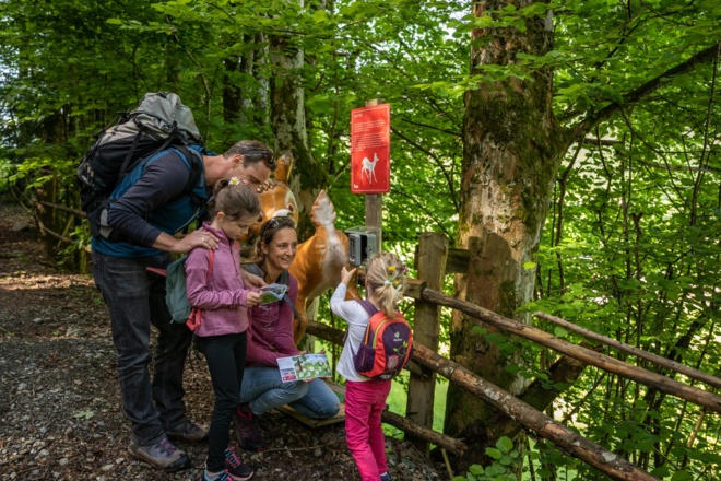 Tierstation mit Stempel
