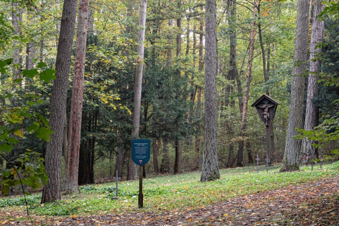 Ehrenfriedhof im Wald | Bad Kissingen