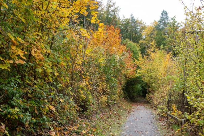 Wanderweg am Stationsberg | Bad Kissingen