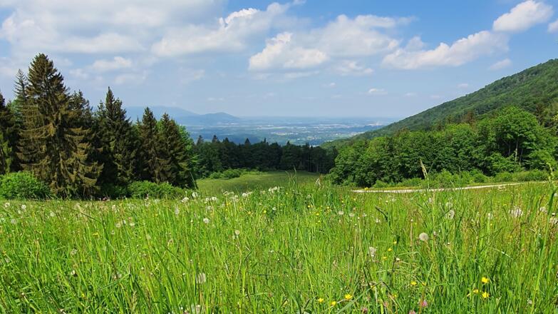 Ausblick von Hochstadl