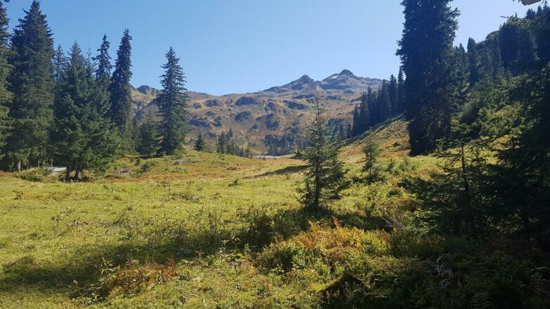 Sonnenkopf