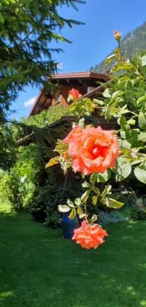Gartenansicht
