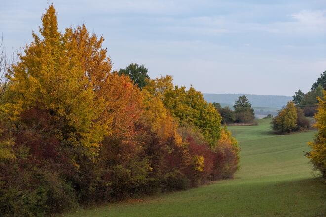 Herbstliche Landschaft | Bad Kissingen