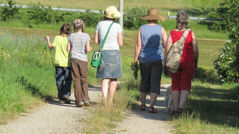 umgeben von Blumen und Kräutern