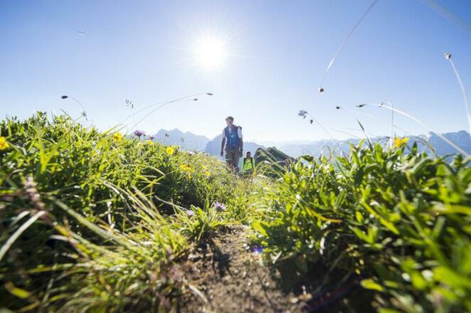 Wandergenuss im Lechquellengebirge