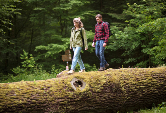 Wandern im Wald | Bad Kissingen