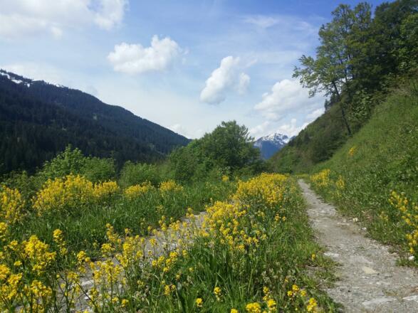 Spazierweg Klösterle