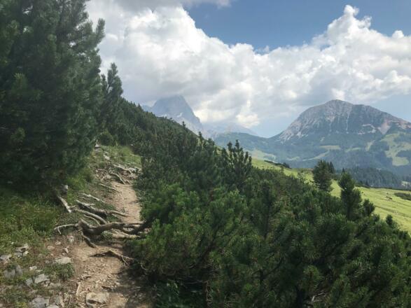 Schmale Pfade am Dachsteinmassiv