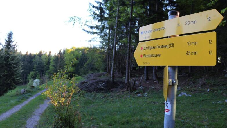 Wanderschilder auf der Schönalm in Puch