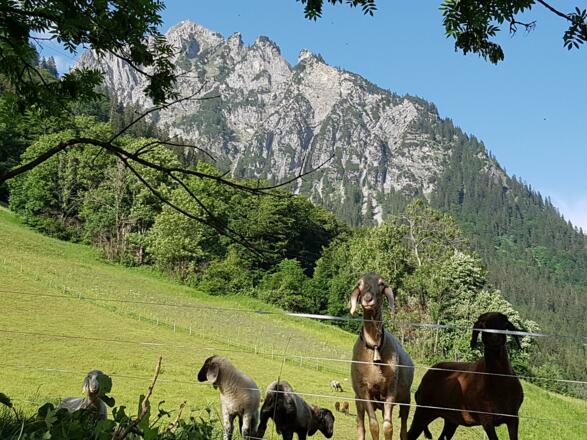 Blick zur Blisadonna