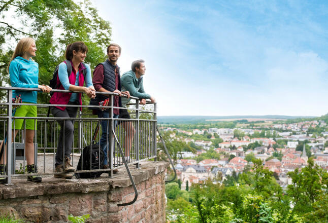 Ausblick über Bad Kissingen