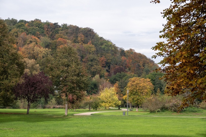 Blick in den Luitpoldpark | Bad Kissingen