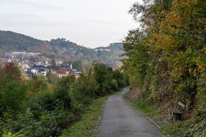 Wanderweg am Waldrand | Bad Kissingen