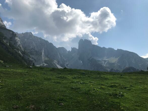 Große Bischofsmütze