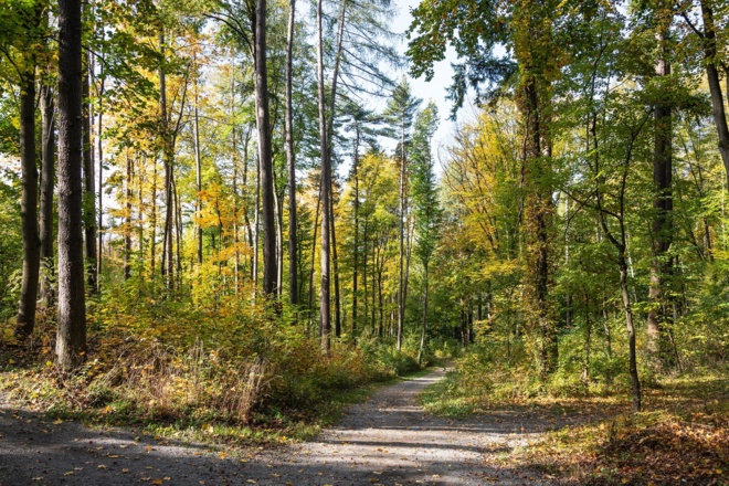 Weg Richtung Innenstadt | Bad Kissingen