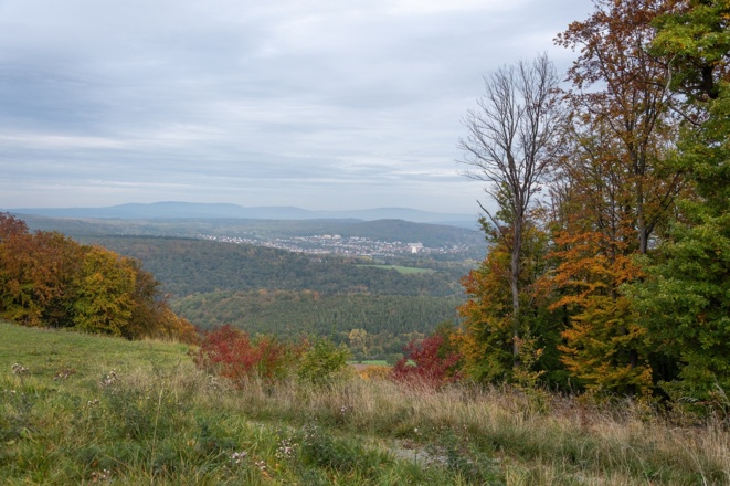 Ausblick am Wittelsbacher Turm | Bad Kissingen