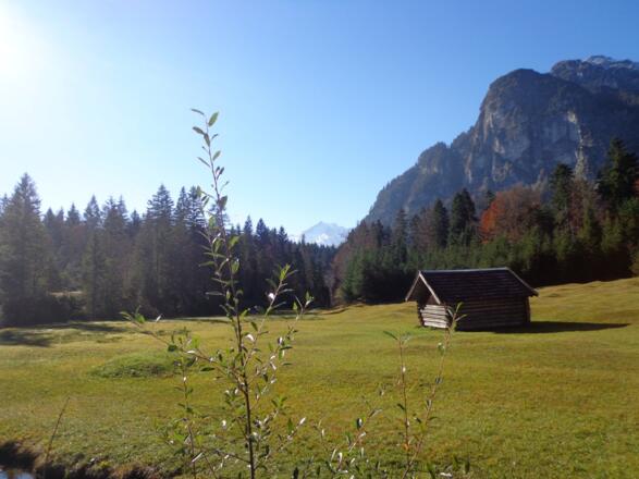 Reschbergwiesen mit Königstand