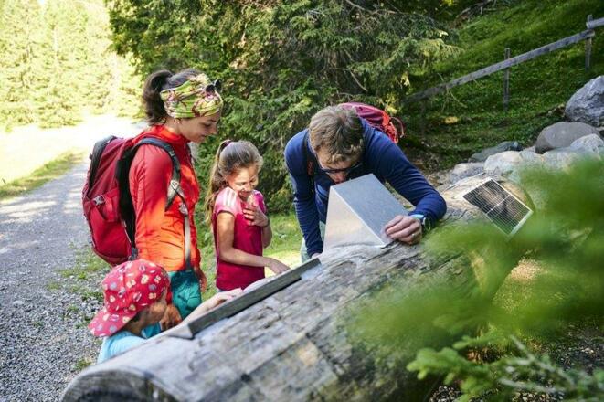 Familie_entdeckt_den_Natursprünge-Weg_Brandnertal_