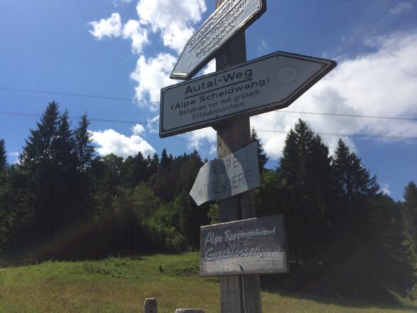 Alpe Scheidwang