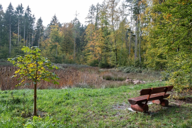 Rastplatz am Hurlacher See | Bad Kissingen
