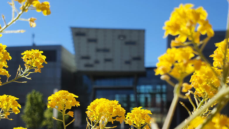 Fachhochschule Salzburg - Campus Puch Urstein