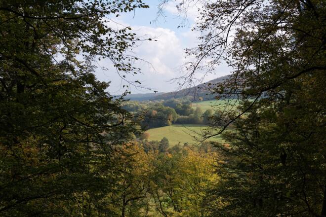 Blick ins Tal der Fränkischen Saale | Bad Kissingen