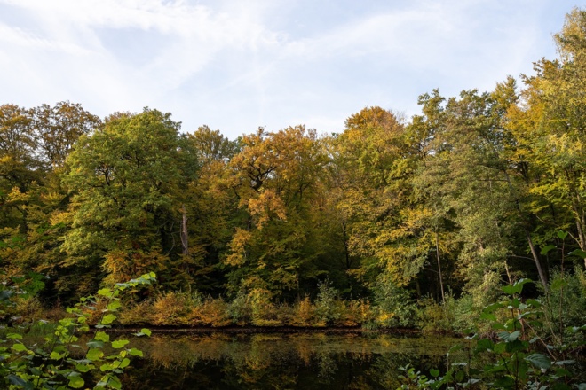 Klauswald Weiher | Bad Kissingen