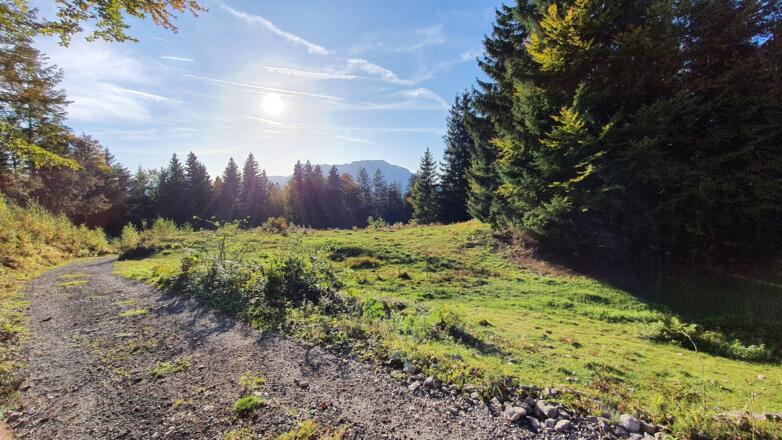 Wandern von der Schönalm nach Hochstadl