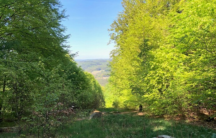 Aussicht auf dem "Alten Schulweg"