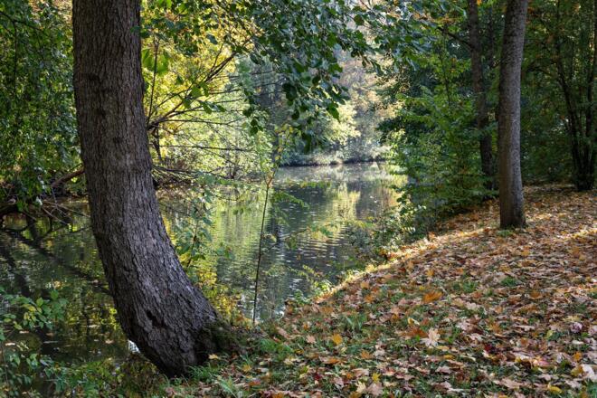 Fränkische Saale im Luitpoldpark | Bad Kissingen