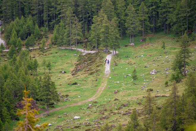 Trail Running