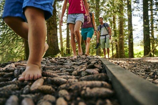 Füße_am_Barfuß-Weg_(c)_Alex_Kaiser_-_Alpenregion_B