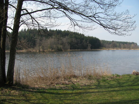 Schleifenroute - Vogt Holzmühlweiher