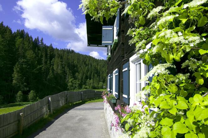 walmendinger-haus-naturlehrpfad-m
