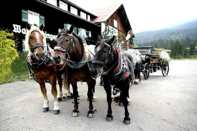 walmendinger-horse-carrige