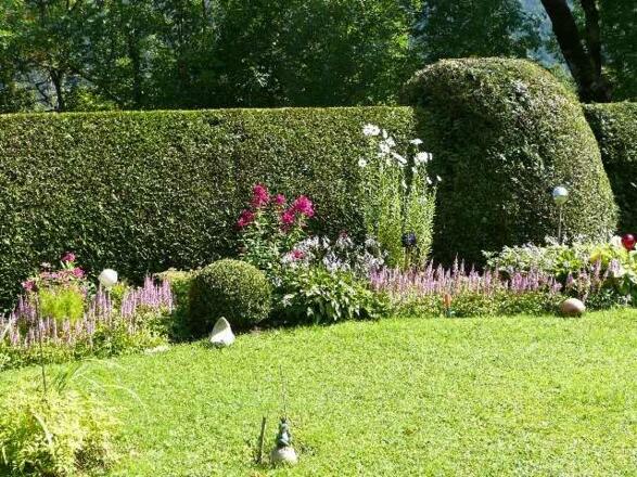 Blick in den Garten