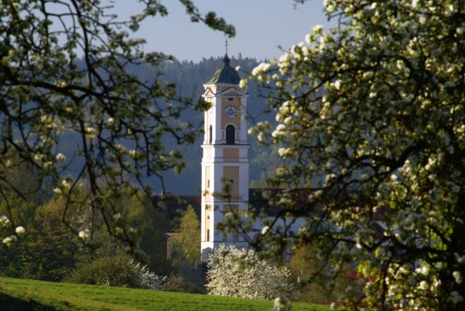 Blick auf die Pfarrkirche Mariä Himmelfahrt in Bad Birnbach