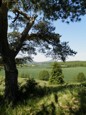 Blick auf den Gleichberg