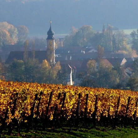 Michelau im Steigerwald