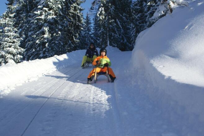 Going_Naturrodelweg Tannbichl_Familie_Wilder Kaiser