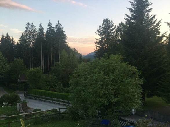 Ausblick