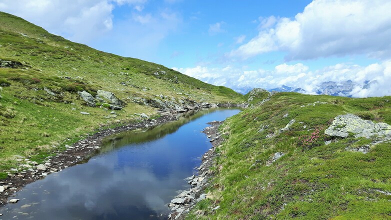 Standkopf