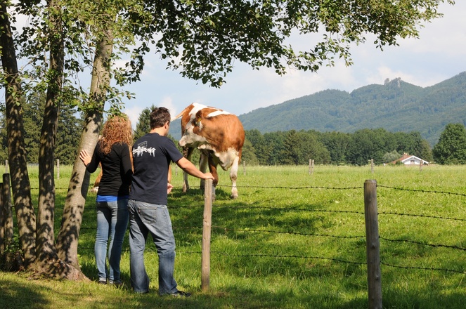 Unterwegs in Mietenkam